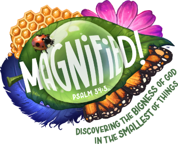 VBS '25 - Magnified!